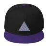Monochromatic Hype Snapback