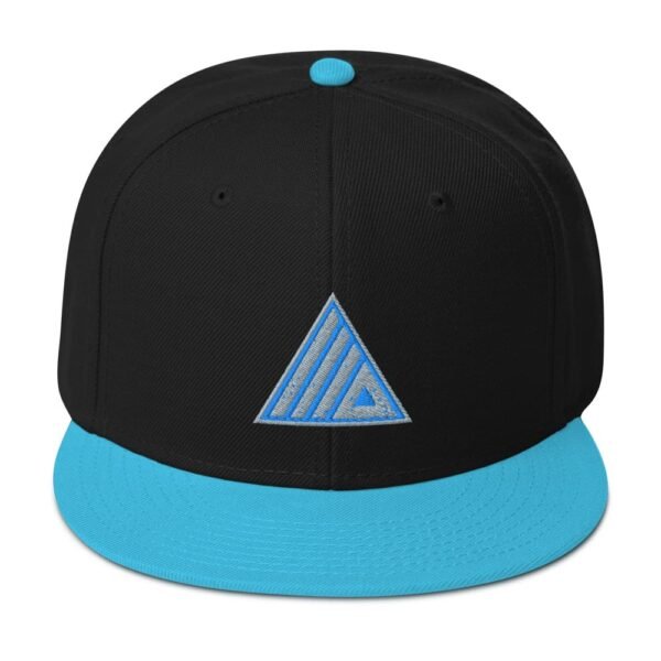 Monochromatic Hype Snapback